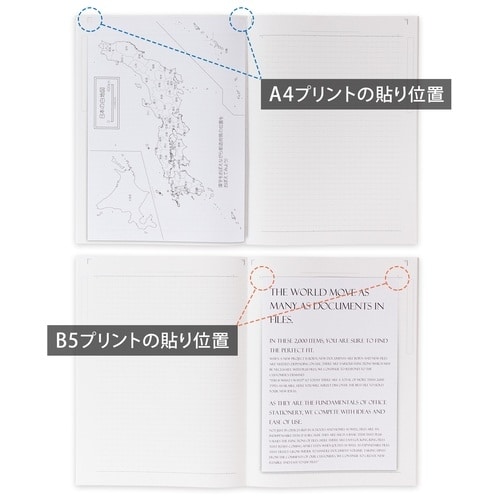 キョクトウ College A4ワイド ヨコ37行 ブルー CLW2（ご注文単位1個）【直送品】
