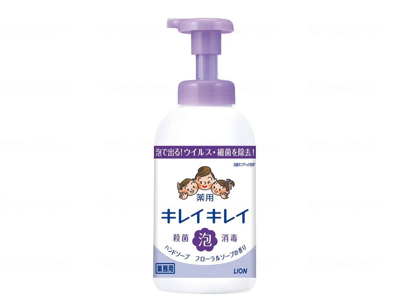 ウェルファン キレイキレイ薬用泡ハンドソープ フローラルソープ/本/550ml 1本(ご注文単位1本)【直送品】