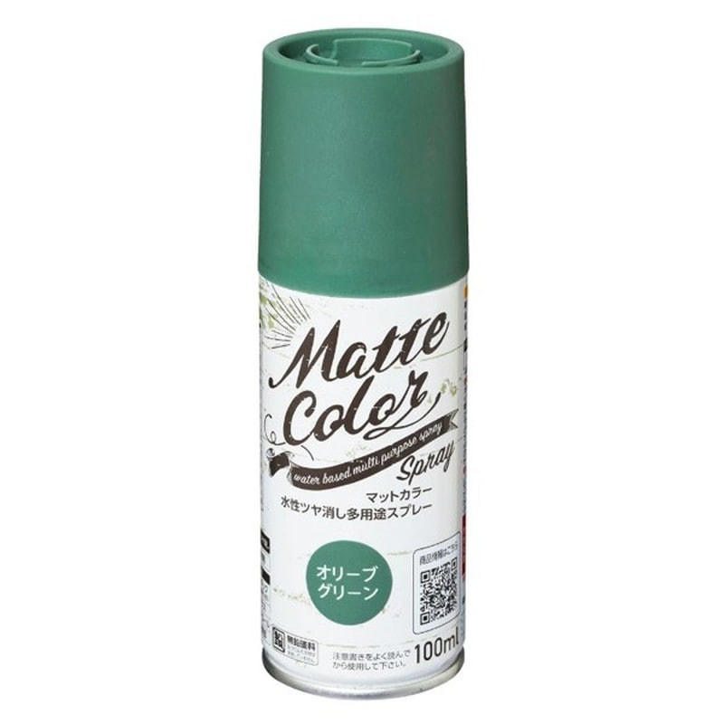 アサヒペン 9019446 水性多用途マットカラースプレー CGN 100ml 1個（ご注文単位1個）【直送品】
