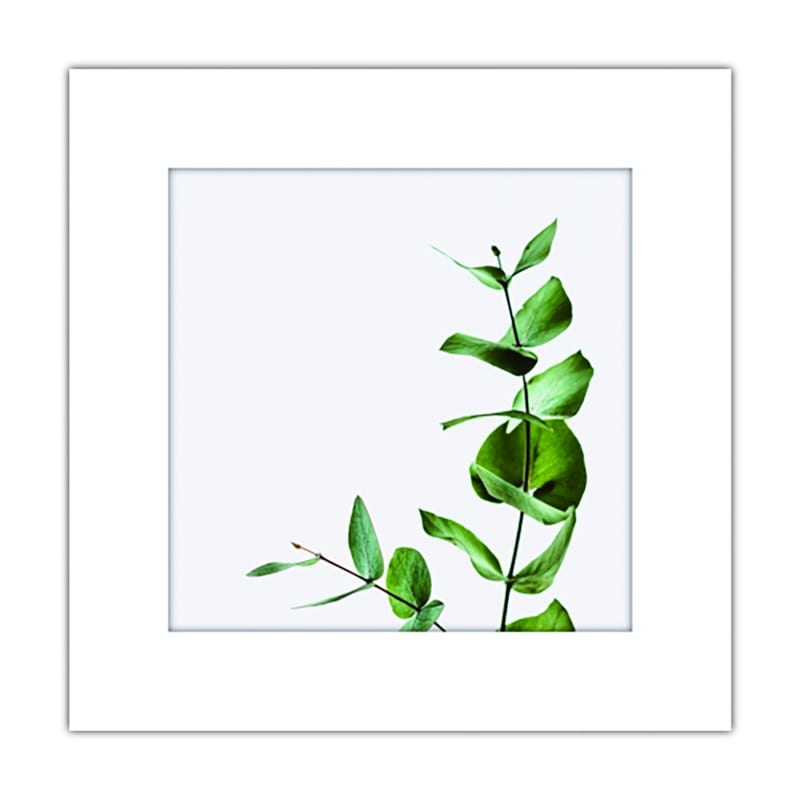 まいにち 9041004 アートトワレ 観葉植物 1個（ご注文単位1個）【直送品】