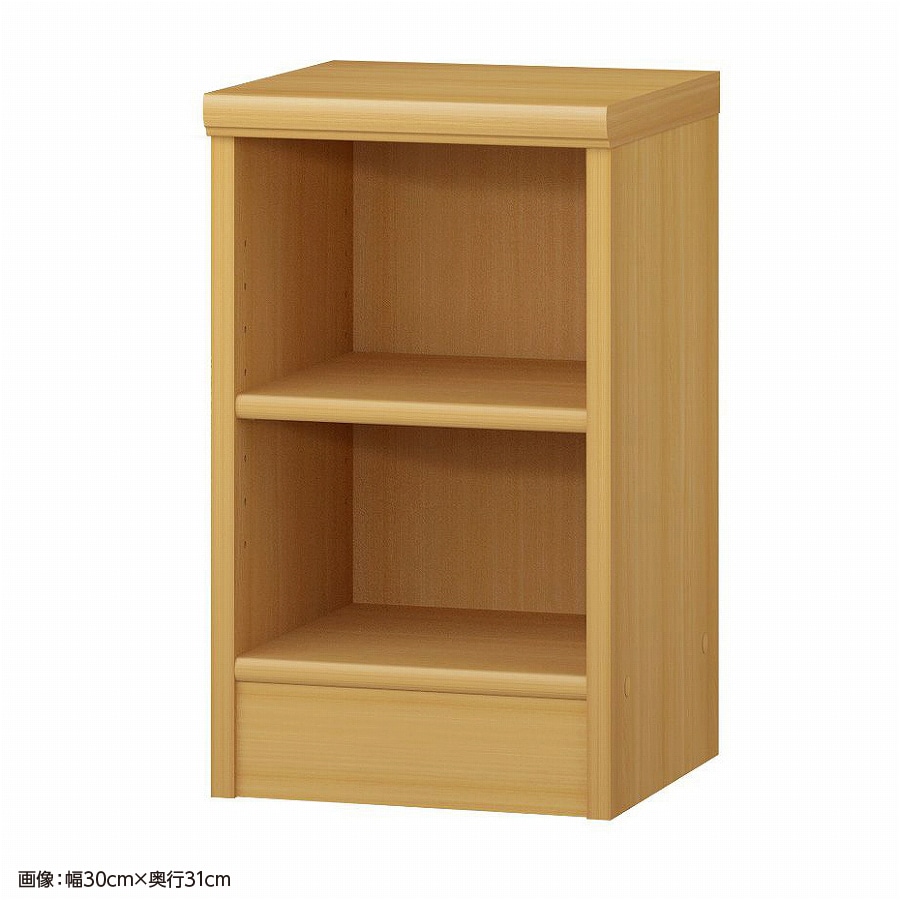 大洋 オーダーシェルフ ARオーダー5025 SR 幅250×奥行250×高さ490(mm) 1台（ご注文単位1台）【直送品】