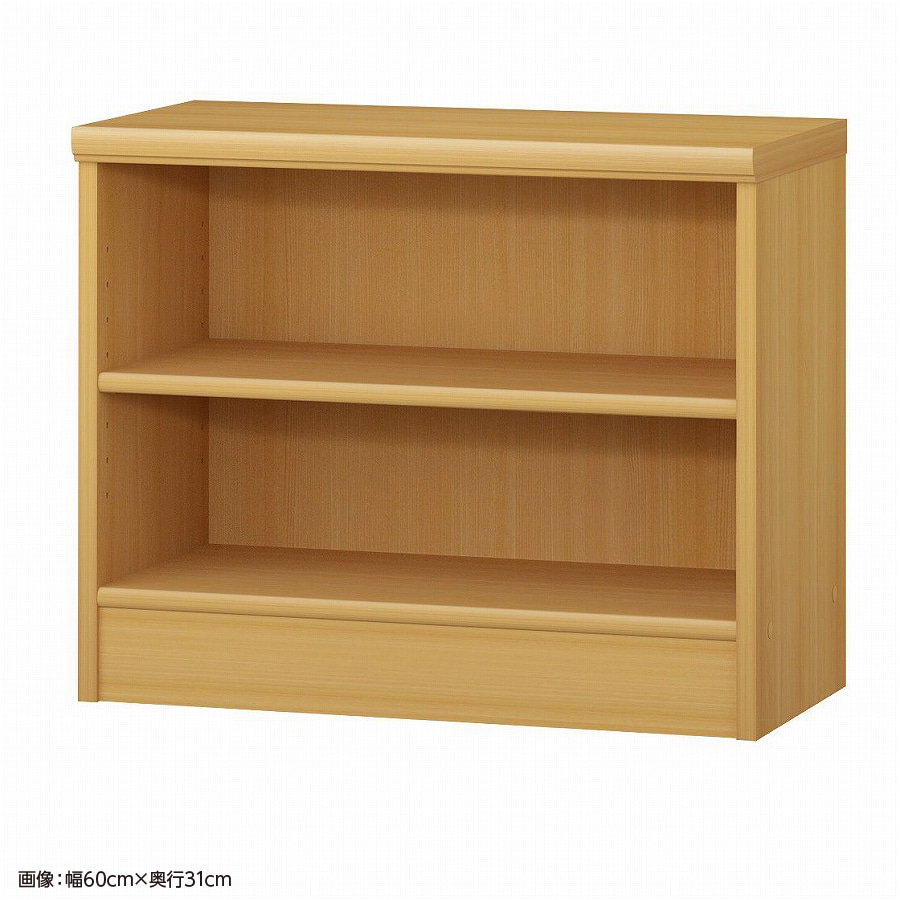 大洋 オーダーシェルフ ARオーダー5060 SR 幅600×奥行250×高さ490(mm) 1台（ご注文単位1台）【直送品】