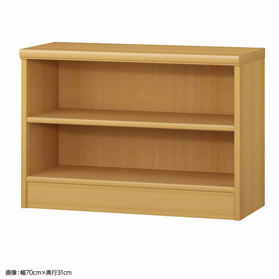 大洋 オーダーシェルフ ARオーダー5065 SR 幅650×奥行250×高さ490(mm) 1台（ご注文単位1台）【直送品】