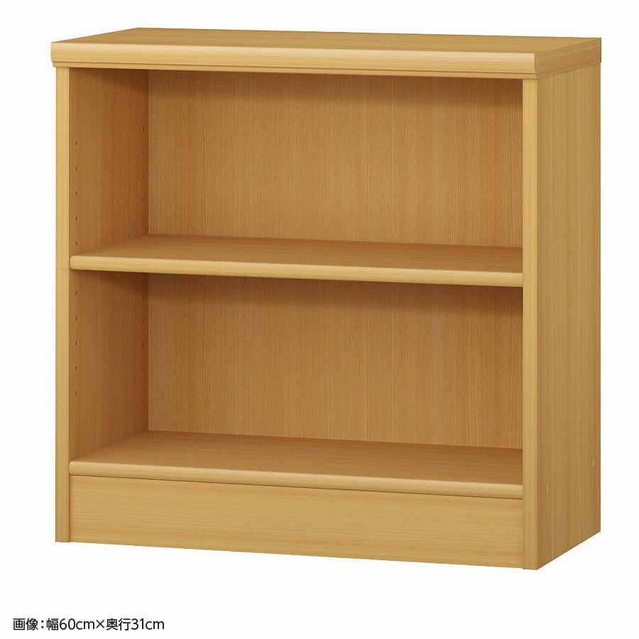 大洋 オーダーシェルフ ARオーダー6055 SR 幅550×奥行250×高さ600(mm) 1台（ご注文単位1台）【直送品】