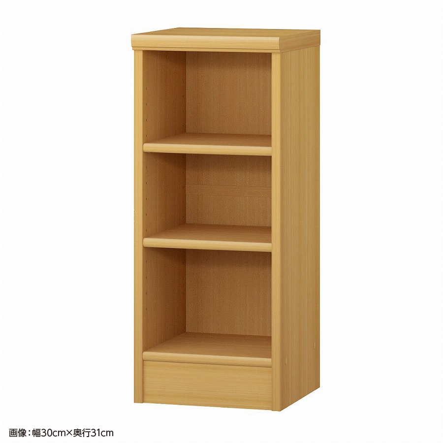 大洋 オーダーシェルフ ARオーダー7025 SR 幅250×奥行250×高さ700(mm) 1台（ご注文単位1台）【直送品】