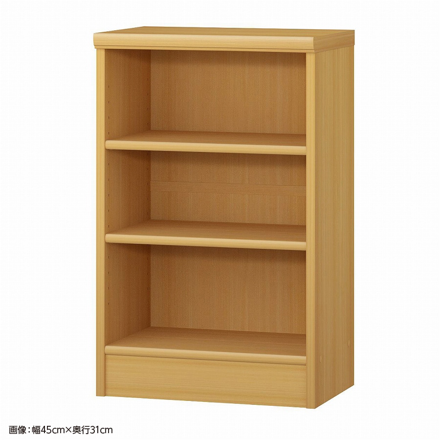 大洋 オーダーシェルフ ARオーダー7045 SR 幅450×奥行250×高さ700(mm) 1台（ご注文単位1台）【直送品】