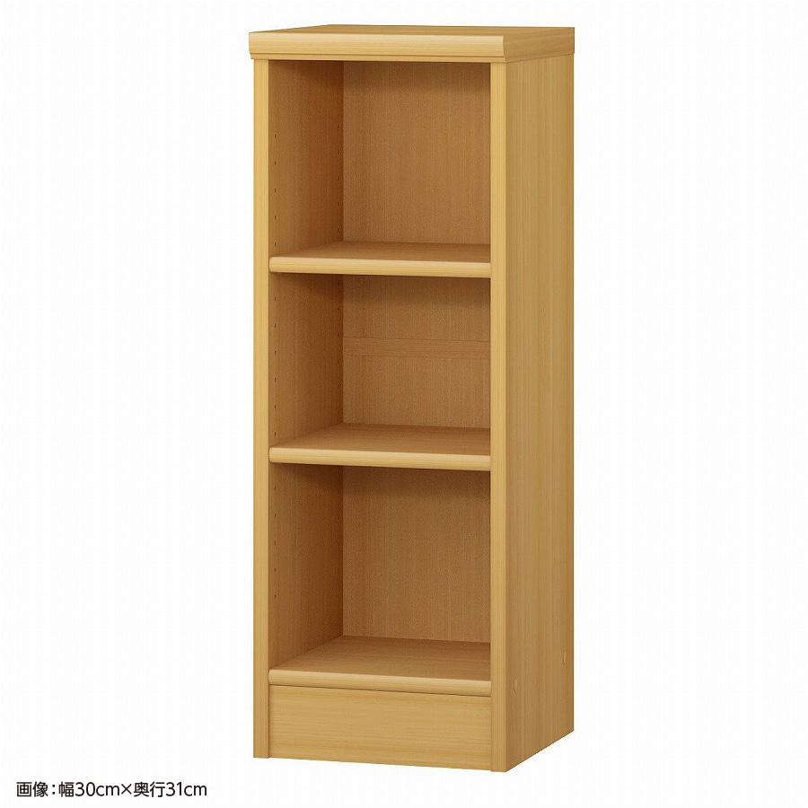 大洋 オーダーシェルフ ARオーダー8030 SR 幅300×奥行250×高さ800(mm) 1台（ご注文単位1台）【直送品】