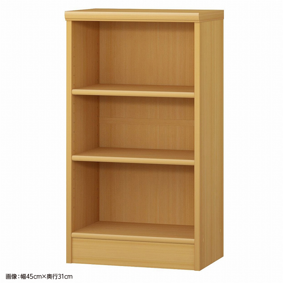 大洋 オーダーシェルフ ARオーダー8045 SR 幅450×奥行250×高さ800(mm) 1台（ご注文単位1台）【直送品】