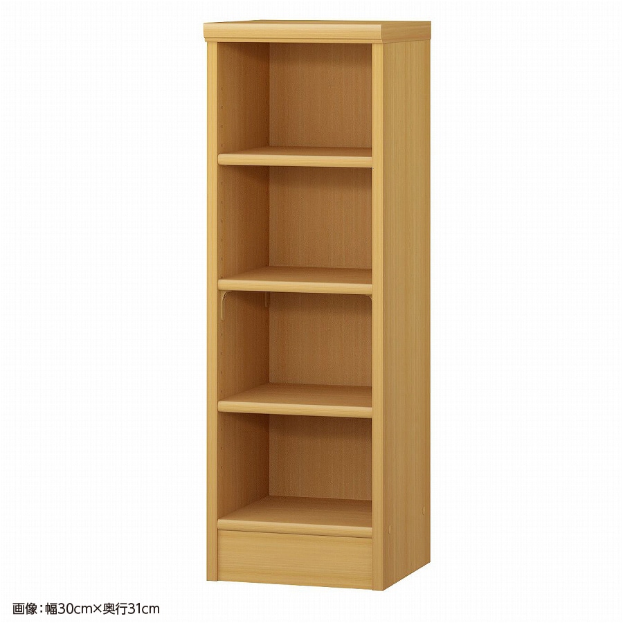 大洋 オーダーシェルフ ARオーダー9025 SR 幅250×奥行250×高さ881(mm) 1台（ご注文単位1台）【直送品】