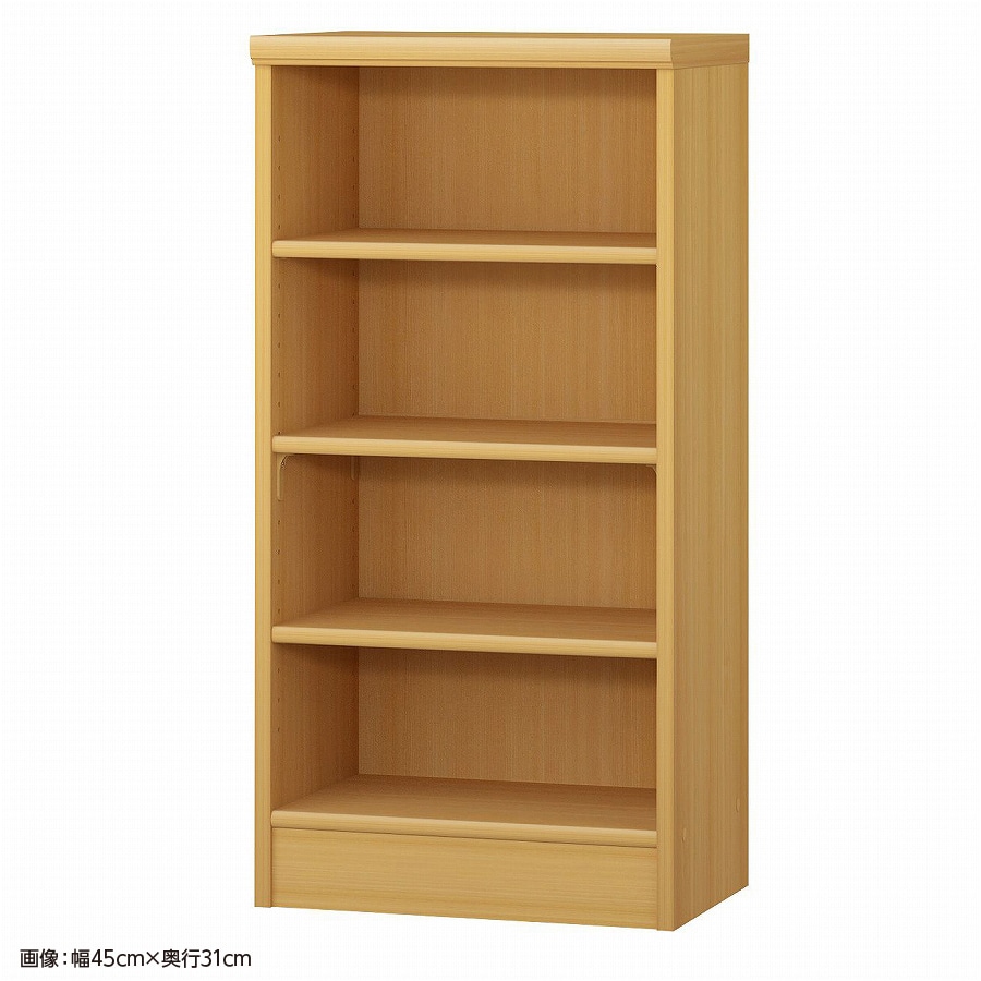 大洋 オーダーシェルフ ARオーダー9050 SR 幅500×奥行250×高さ881(mm) 1台（ご注文単位1台）【直送品】