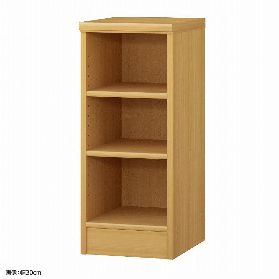 大洋 オーダーシェルフ ARオーダー7030 MD 幅300×奥行400×高さ700(mm) 1台（ご注文単位1台）【直送品】