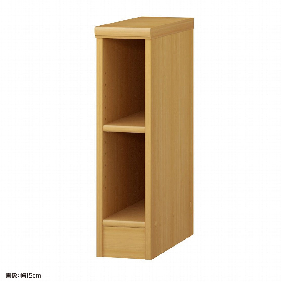 大洋 オーダーシェルフ ARオーダー6015 D 幅150×奥行460×高さ600(mm) 1台（ご注文単位1台）【直送品】