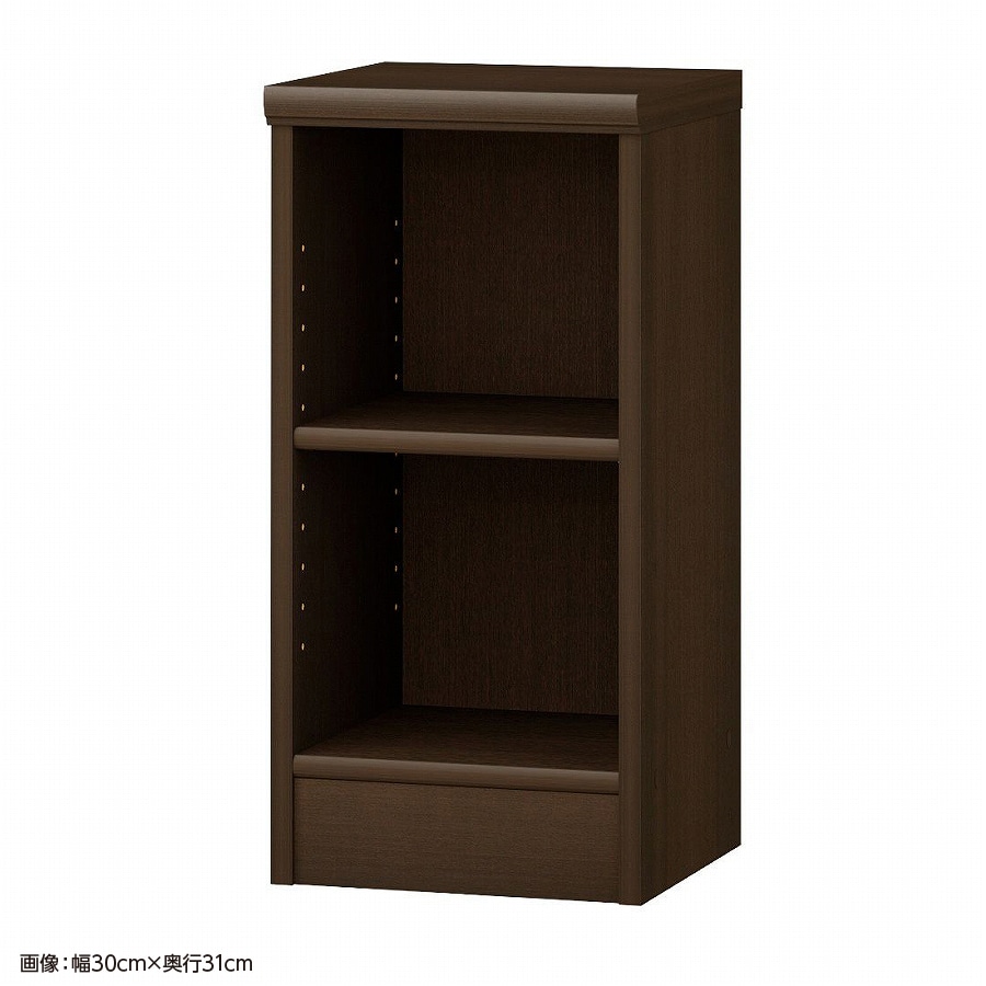 大洋 オーダーシェルフ ダークブラウン NCオーダー6025 SR DB 幅250×奥行250×高さ600(mm) 1台（ご注文単位1台）【直送品】