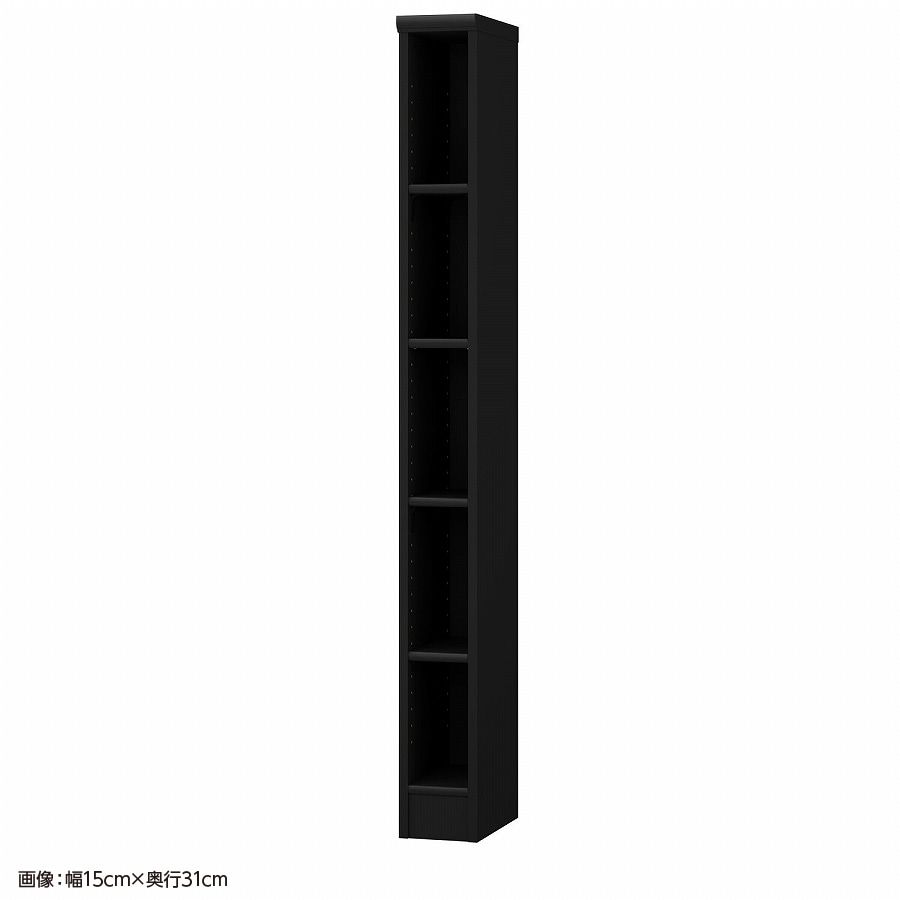 大洋 オーダーシェルフ ブラック NCオーダー1520 SR BK 幅200×奥行250×高さ1499(mm) 1台（ご注文単位1台）【直送品】