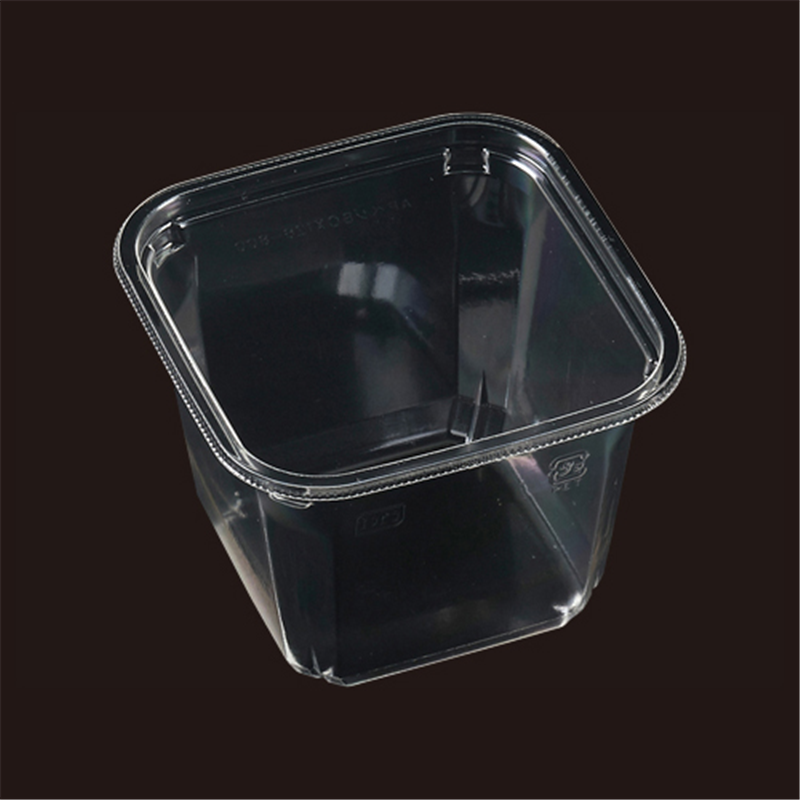 エフピコ サラダ容器 APベジBOX 本体 126-800 50枚/袋（ご注文単位1袋）【直送品】