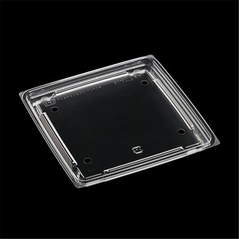 エフピコ サラダ・フルーツ容器 APベジBOX 内嵌合蓋 T-ベジBOX170TCR φ8穴 50枚/袋（ご注文単位1袋）【直送品】