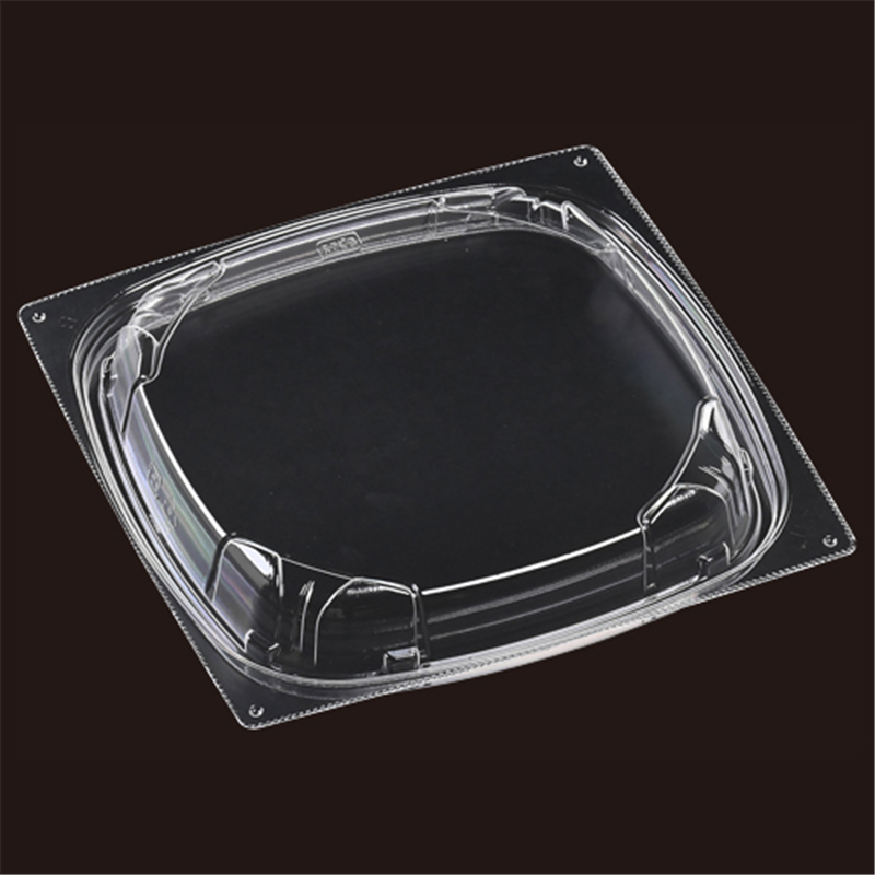 エフピコ 軽食・パスタ容器 パステ 嵌合蓋 T-パステ21-21 50枚/袋(ご注文単位1袋)【直送品】