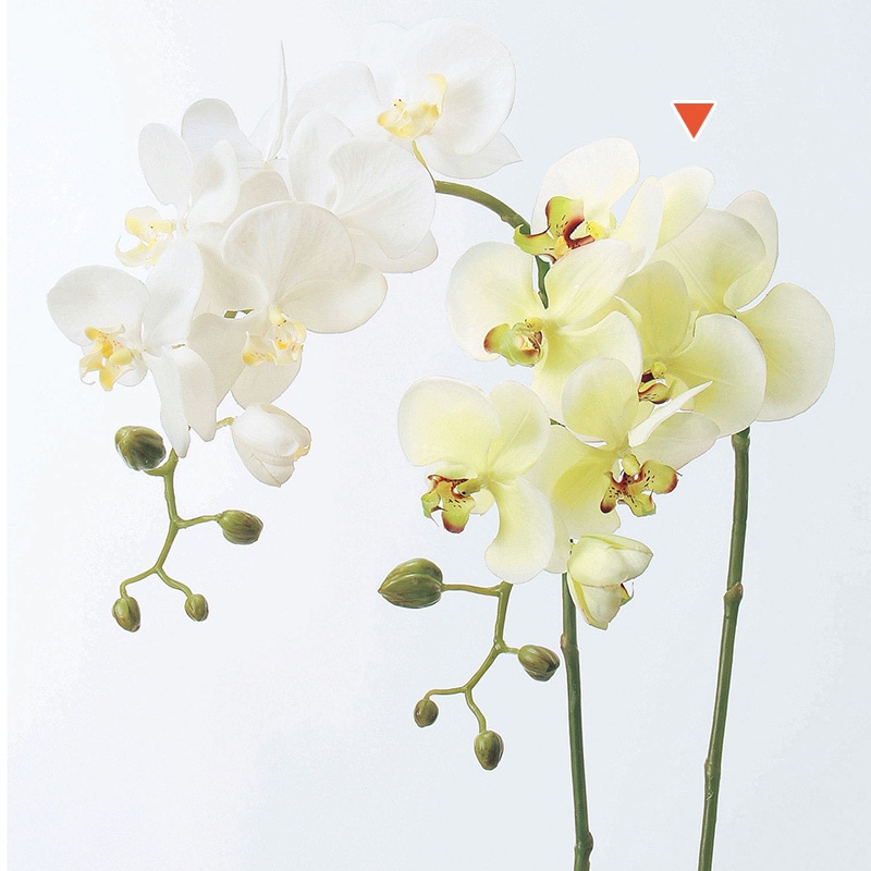 アスカ商会 造花 A-31257コチョウランS #053A クリ-ムグリ-ン 1本(ご注文単位1本)【直送品】