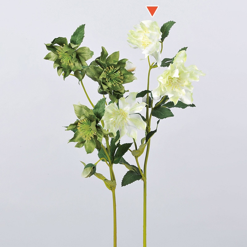 アスカ商会 造花 A-32556クリスマスローズ #053A クリームグリーン 1本(ご注文単位1本)【直送品】