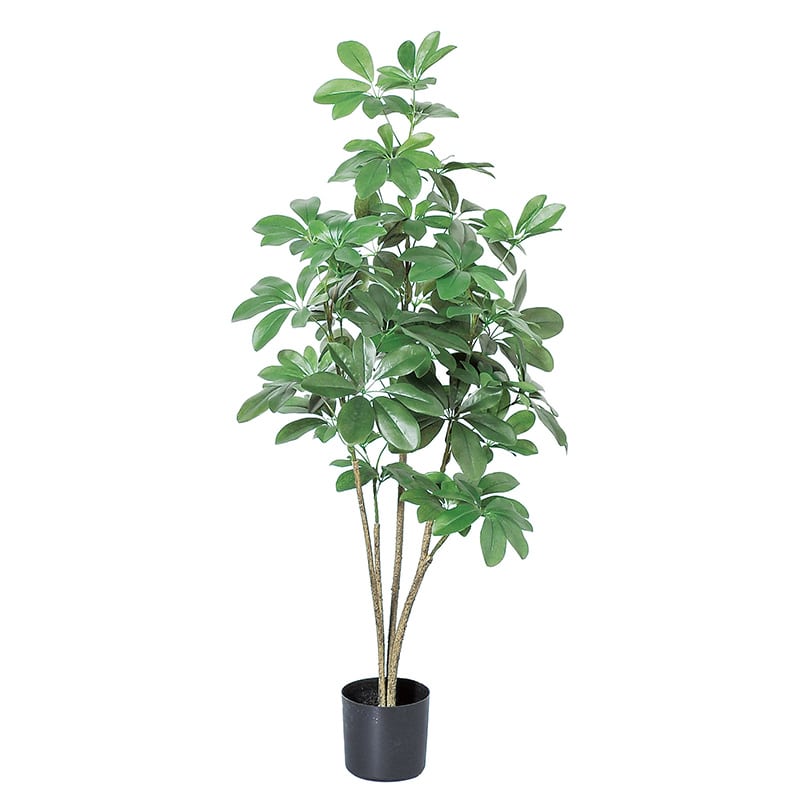 アスカ商会 造花・観葉植物 A-50852 シェフレラ #051A グリ-ン ポット付 1本(ご注文単位1本)【直送品】