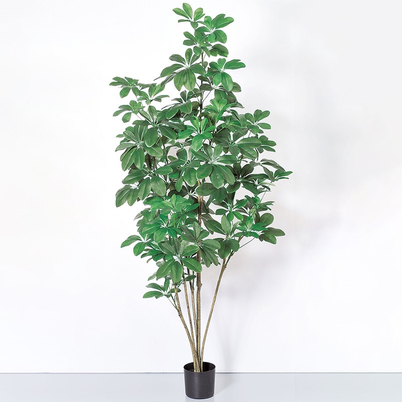アスカ商会 造花・観葉植物 A-50859 シェフレラ #051A グリ-ン ポット付 1本(ご注文単位1本)【直送品】