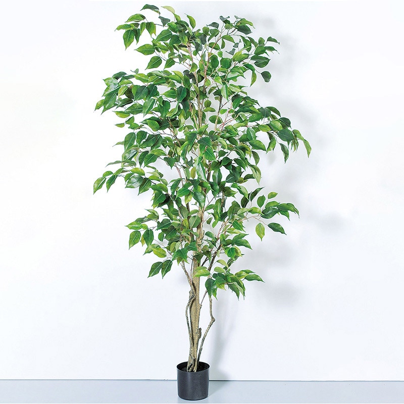 アスカ商会 造花・観葉植物 A-50858ファイカスツリー #051A グリ-ン ポット付 1本(ご注文単位1本)【直送品】