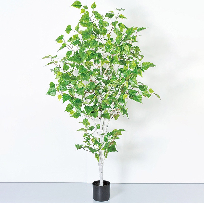 アスカ商会 造花・観葉植物 A-50857 バーチツリー #051A グリ-ン ポット付 1本(ご注文単位1本)【直送品】