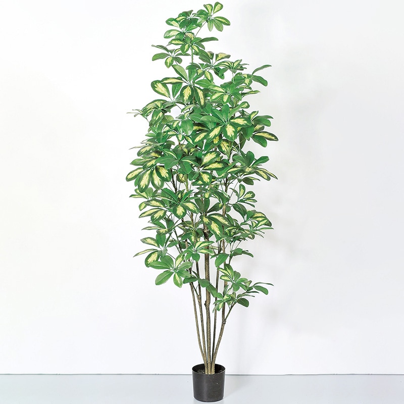 アスカ商会 造花・観葉植物 A-50860 シェフレラ #053A クリームグリーン ポット付 1本(ご注文単位1本)【直送品】