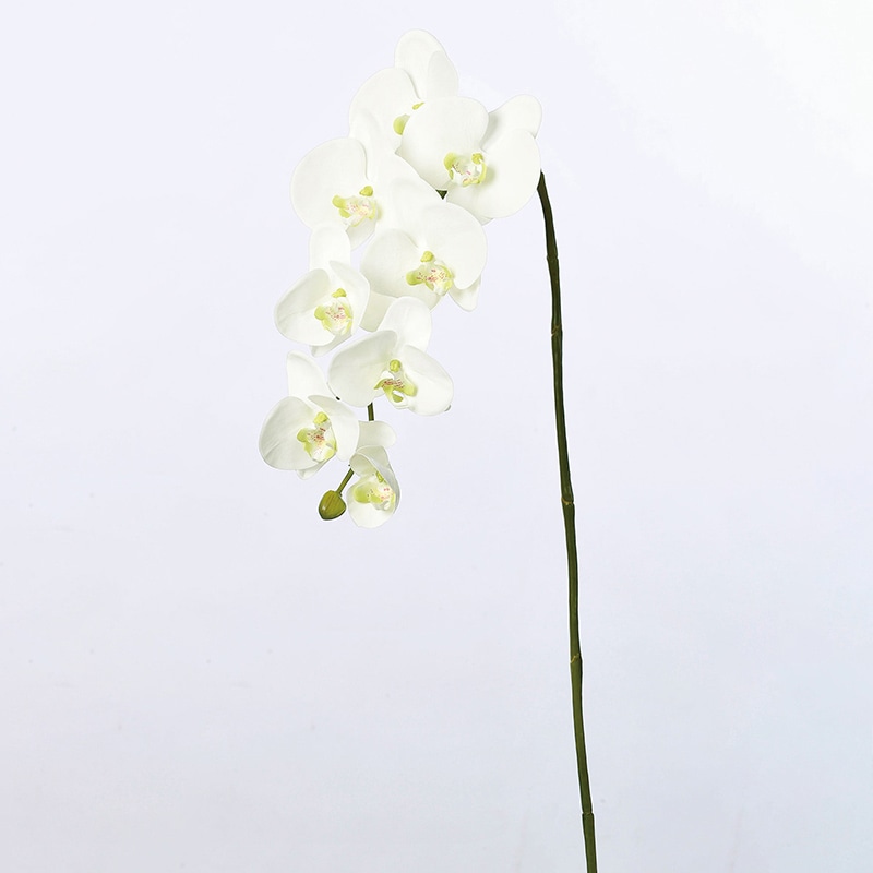 アスカ商会 造花 A-33007コチョウラン #001 ホワイト 1本(ご注文単位1本)【直送品】