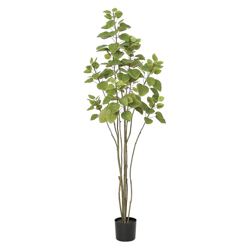 アスカ商会 造花・観葉植物 A-50897 スモークツリー #052B ライトグリ-ン ポット付 1本(ご注文単位1本)【直送品】