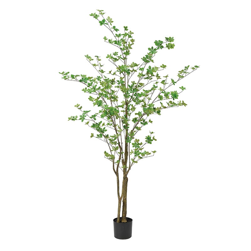 アスカ商会 造花・観葉植物 A-50994 ドウダン #051A グリ-ン ポット付 1本(ご注文単位1本)【直送品】