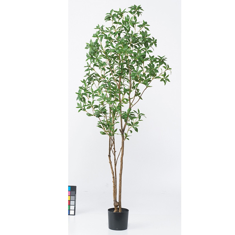 アスカ商会 造花・観葉植物 A-51049 アセビ #051A グリ-ン ポット付 1本(ご注文単位1本)【直送品】