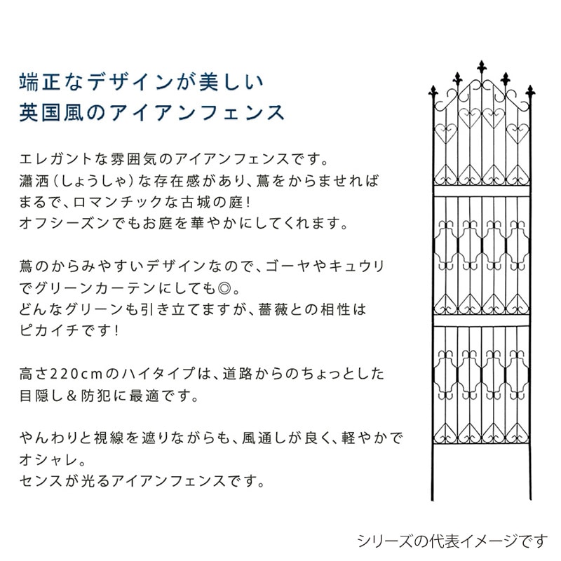 住まいスタイル アイアンフェンス 220 ハイタイプ 2枚組 ブラック DF010H-2P-BLK 1セット(ご注文単位1セット)【直送品】