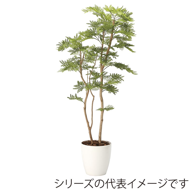 アートクリエーション 光の楽園 フェイクグリーン ねむの木 1.8m ポリ製 2106A460 1個(ご注文単位1個)【直送品】