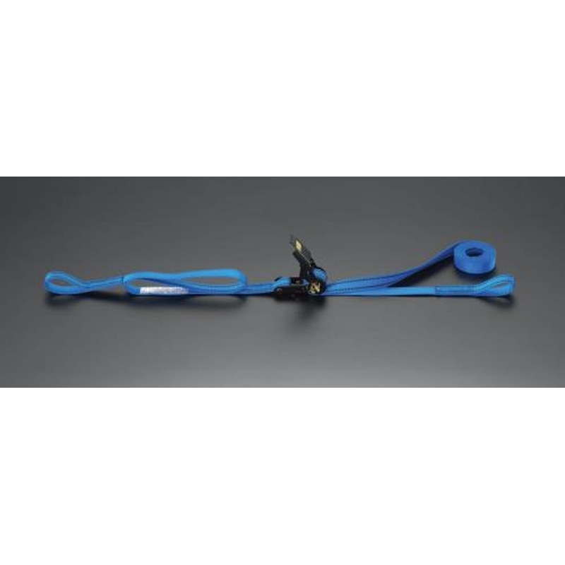 エスコ EA982RC-4 25mmx5.0m/200kgベルト荷締機(ラチェット式) 1個（ご注文単位1個）【直送品】