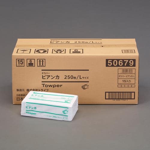 エスコ EA929AZ-33B 250x250mm ハンドタオル(250枚/12パック) 1箱 (ご注文単位1箱)【直送品】