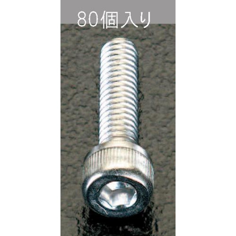 エスコ EA949DH-43 M4x12mm六角穴付ボルト(ステンレス製/80本) 1個（ご注文単位1個）【直送品】