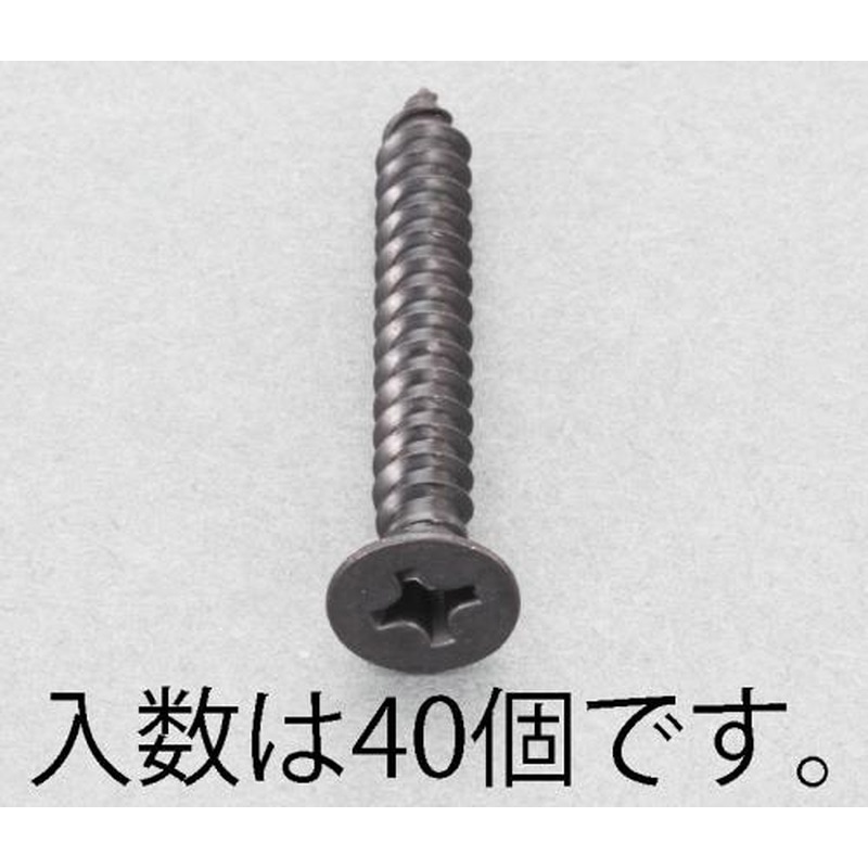 エスコ EA949AS-316 3x16mm皿頭タッピングビス(ステンレス/黒色/40本) 1個（ご注文単位1個）【直送品】