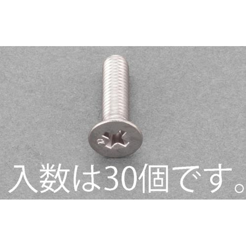 エスコ EA949AE-235 M3x12mm皿頭小ねじ(ステンレス/有磁性/30本) 1個(ご注文単位1個)【直送品】