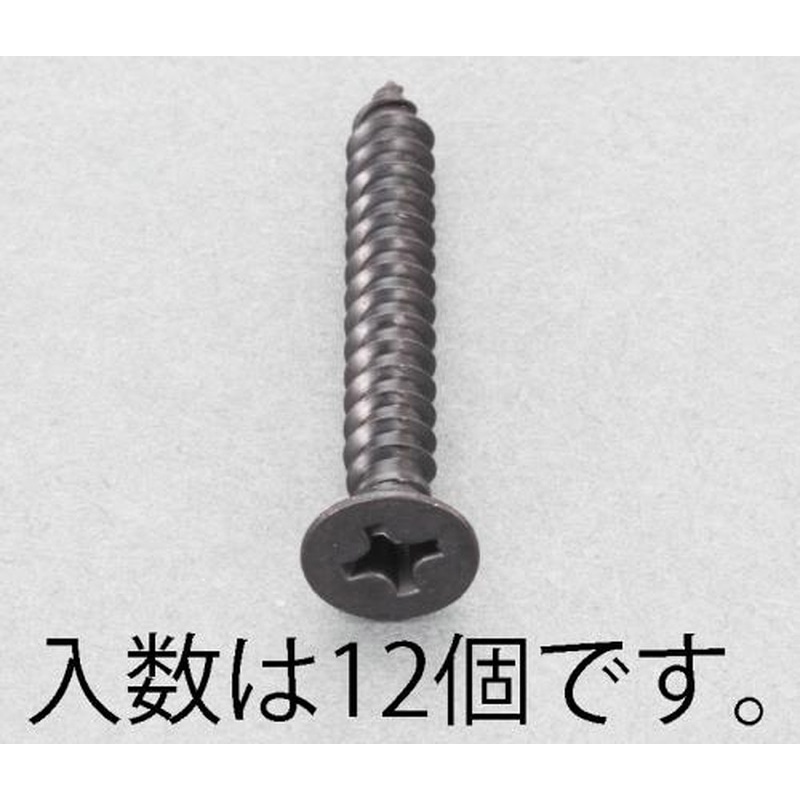 エスコ EA949AS-545 5x45mm皿頭タッピングビス(ステンレス/黒色/12本) 1個（ご注文単位1個）【直送品】