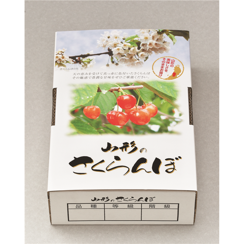 さくらんぼ 化粧箱 身／蓋 500g×2パック用 YD25 50箱/1セット（ご注文単位1セット）【直送品】