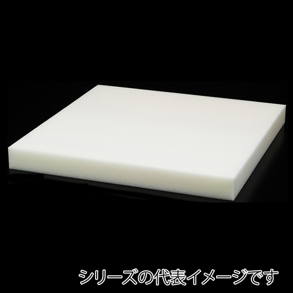 福井クラフト 座布団 中身 EGウレタン 55×59用 80518050 1枚(ご注文単位1枚)【直送品】