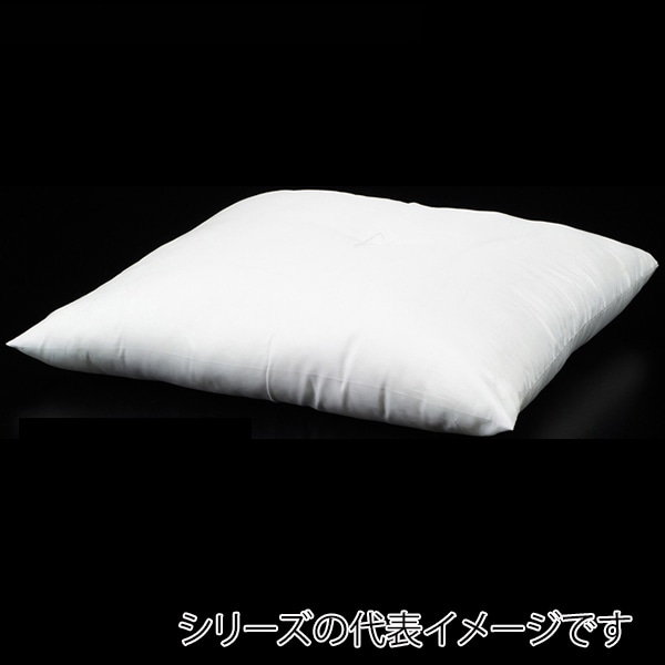 福井クラフト 座布団 中身 EG綿ミックス 45角用 80518070 1枚(ご注文単位1枚)【直送品】