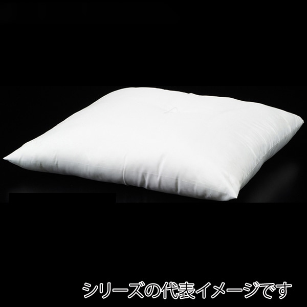 福井クラフト 座布団 中身 EG綿ミックス 55×59 銘仙判用 80518090 1枚(ご注文単位1枚)【直送品】