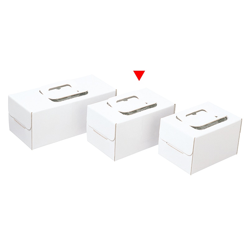 和気 ノエルケーキ箱　手提ノエルホワイト 小 2-500-25 100枚/箱（ご注文単位1箱）【直送品】