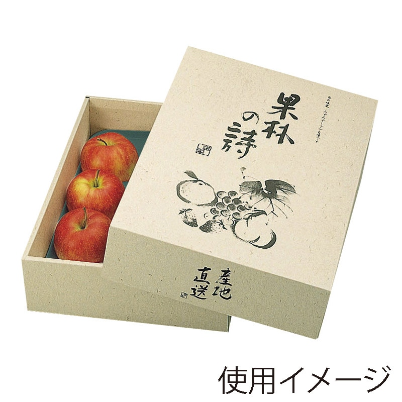 ギフト箱 果林の詩 L-293 10枚/束(ご注文単位4束)【直送品】