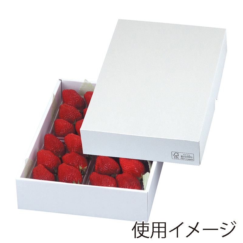 ギフト箱 パールFS 27 LTO-27FS 25枚/束(ご注文単位2束)【直送品】