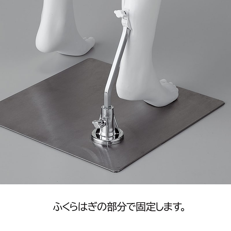 ストア・エキスプレス 婦人リアルマネキン PP製 9号 ホワイト 61-810-38-1 1台(ご注文単位1台)【直送品】