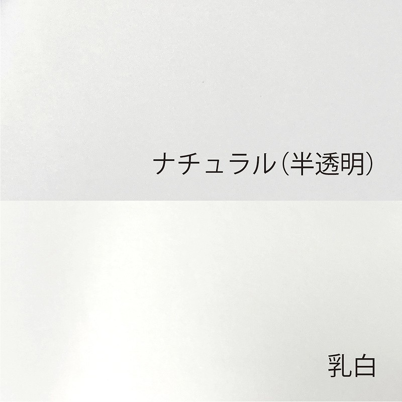 【オリジナル印刷】特注バイオバンバンバッグ No.6 1色印刷 1000枚