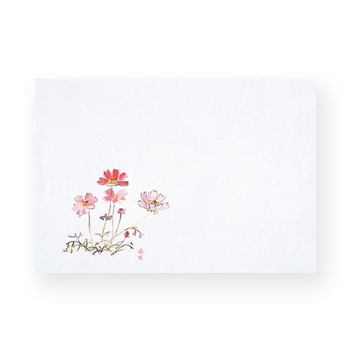秋桜